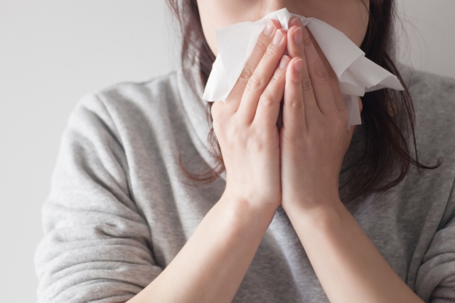 Active Supplement Blog_FEB_Pollen Allergy アクティブサプリ ブログ_【子供にも】日本人に急増中!花粉症のインナーケア対策は?【2025最新版】