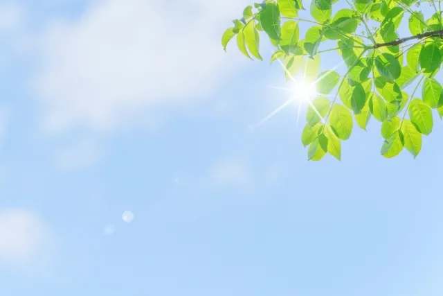 5月の紫外線は真夏の約8割！今から始めるべき紫外線対策とは？