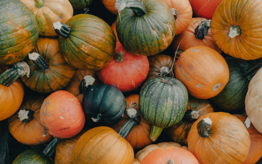 ハロウィンの季節はかぼちゃで綺麗に！隠れた美容パワーをご紹介